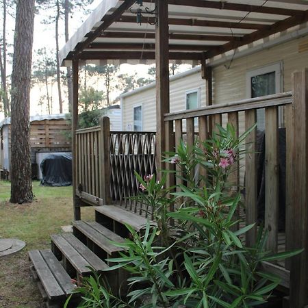 Mobil-Home Spatieux 8Pers - Brume Сен-Жюльен-ан-Борн Экстерьер фото